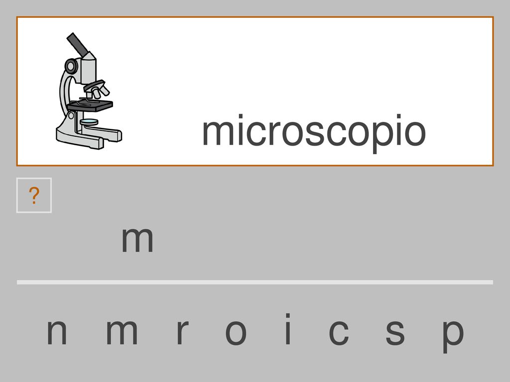 microscopio m n m r o i c s p