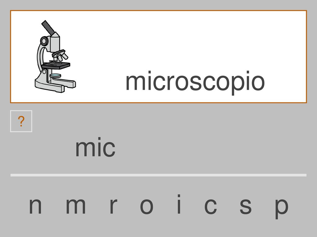 microscopio mic n m r o i c s p