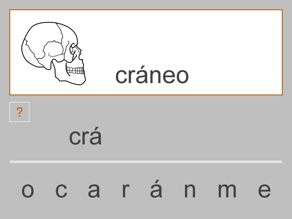 cráneo crá o c a r á n m e