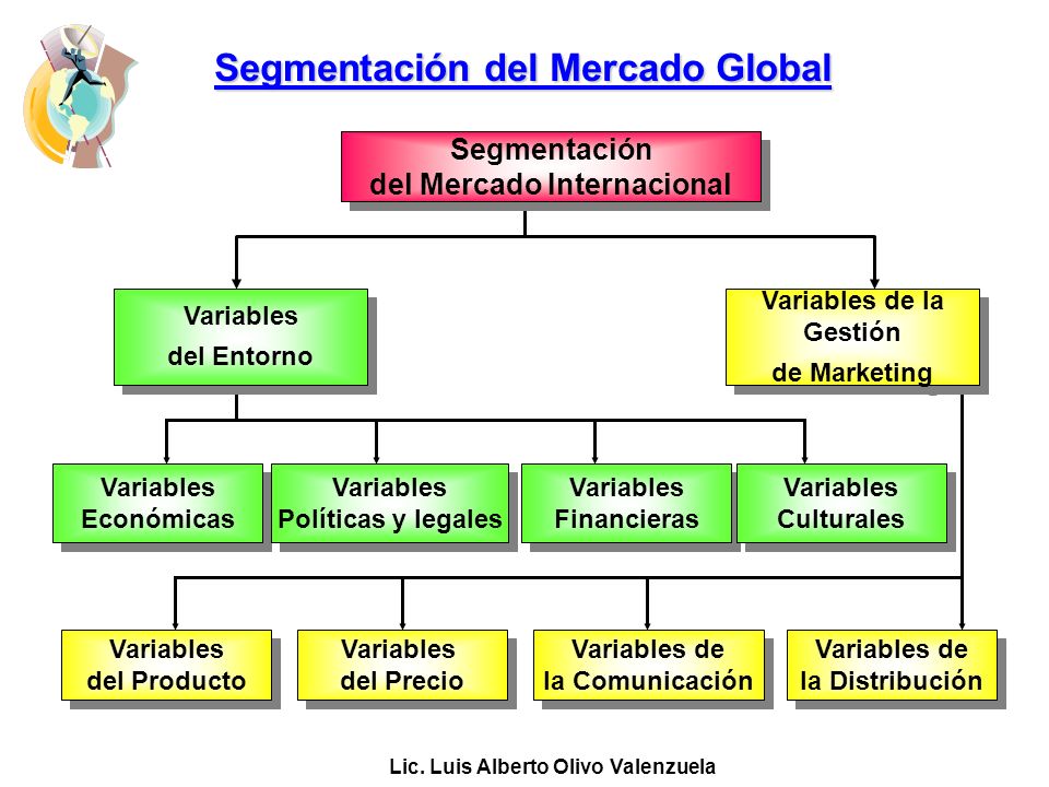Segmentación del Mercado Global