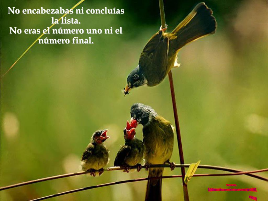 No encabezabas ni concluías la lista.