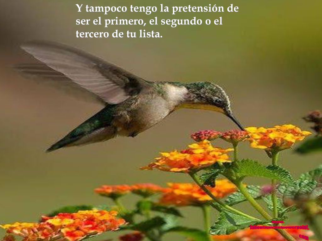 Emanar vibraciones de amor. Saber que estamos aquí de paso.