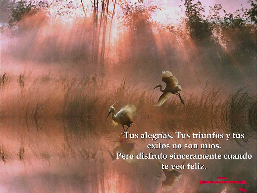 Tus alegrías. Tus triunfos y tus éxitos no son míos.