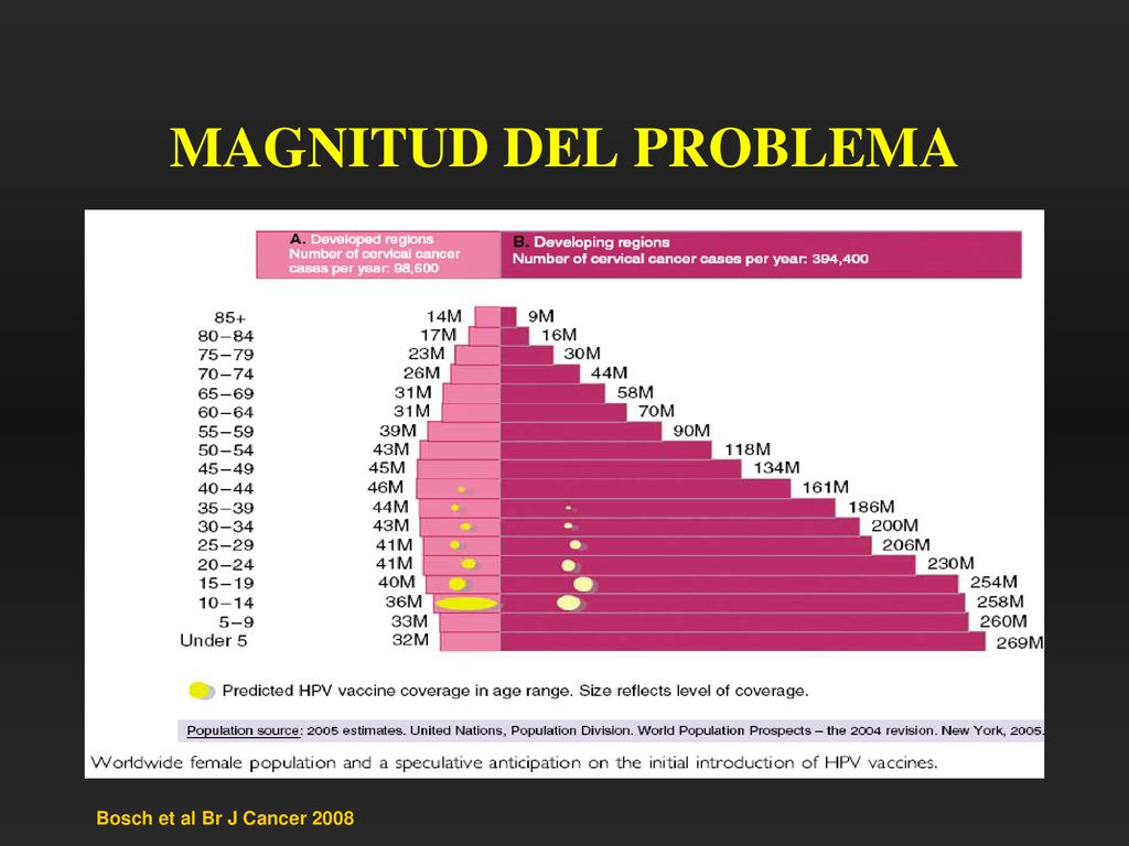 MAGNITUD DEL PROBLEMA Bosch et al Br J Cancer 2008
