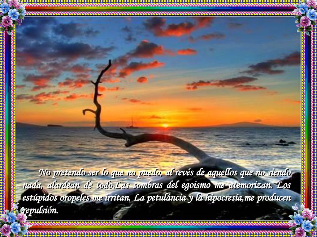 No pretendo ser lo que no puedo, al revés de aquellos que no siendo nada, alardean de todo.Las sombras del egoismo me atemorizan.