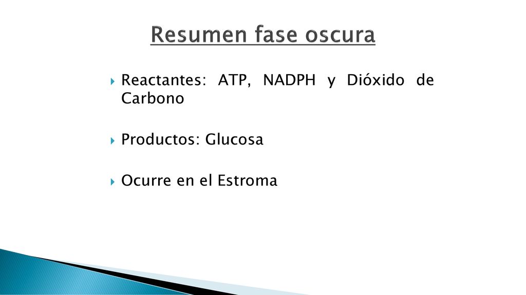 Resumen fase oscura Reactantes: ATP, NADPH y Dióxido de Carbono