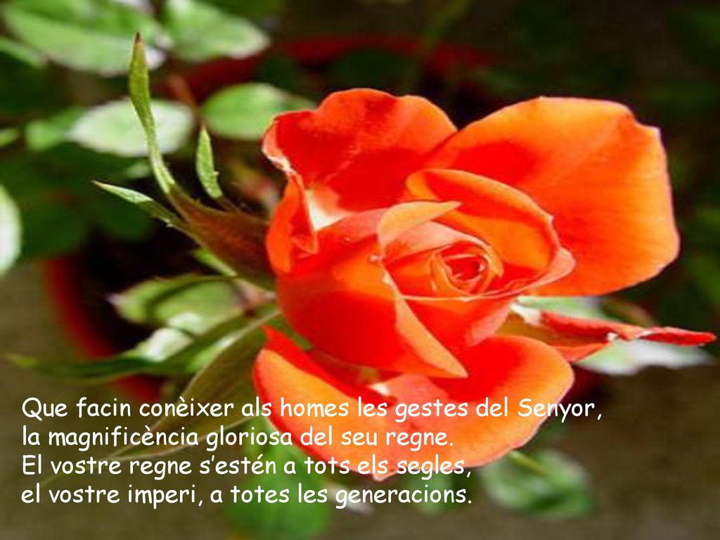 Que facin conèixer als homes les gestes del Senyor,