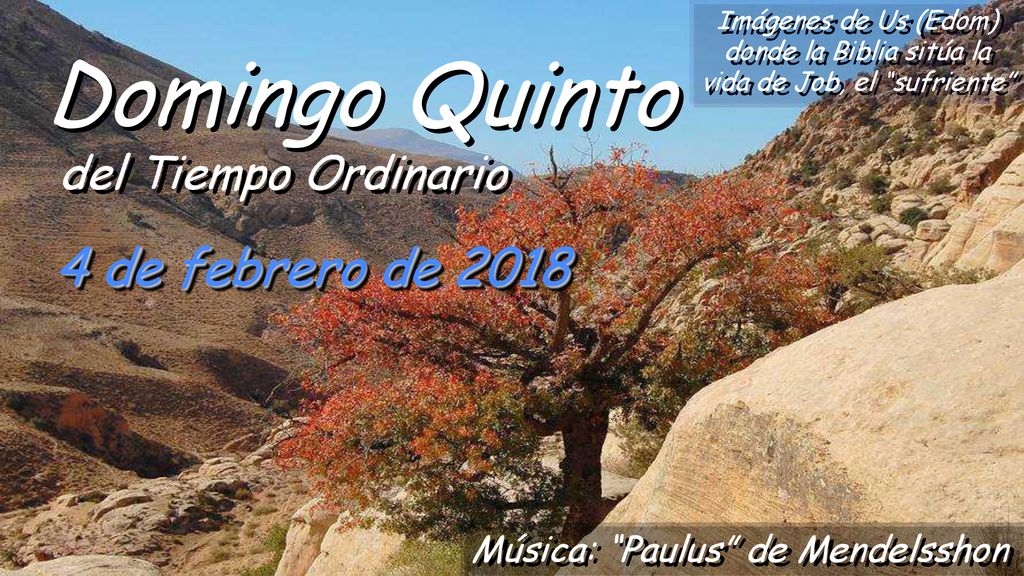 Domingo Quinto 4 de febrero de 2018 del Tiempo Ordinario