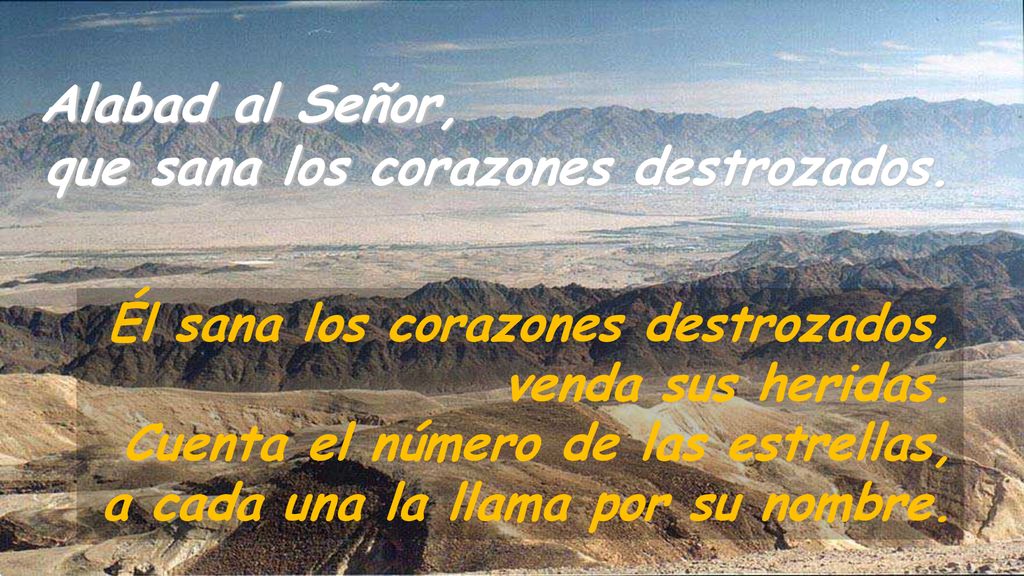 Alabad al Señor, que sana los corazones destrozados.