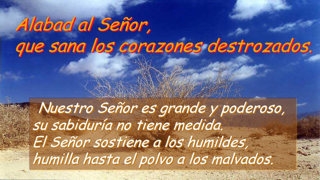 Alabad al Señor, que sana los corazones destrozados.