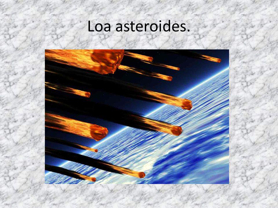 Loa asteroides.