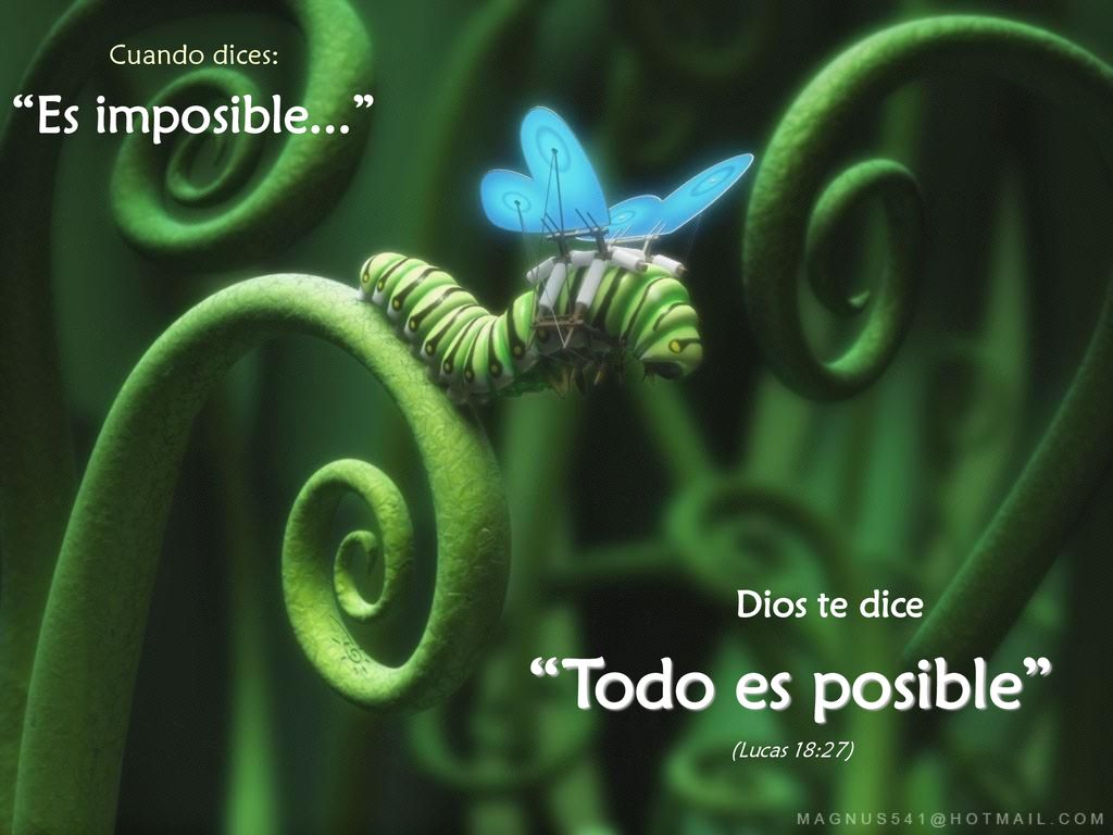 Todo es posible Es imposible... Dios te dice Cuando dices: