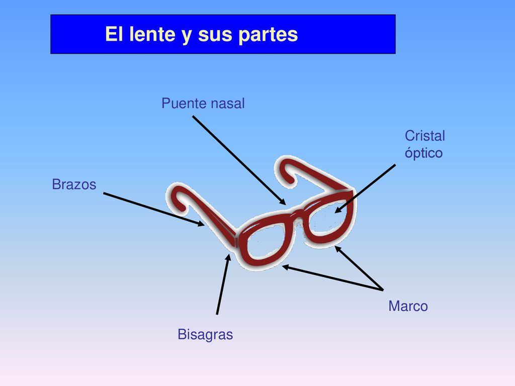 El lente y sus partes Puente nasal Cristal óptico Brazos Marco