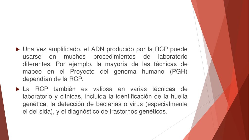 Una vez amplificado, el ADN producido por la RCP puede usarse en muchos procedimientos de laboratorio diferentes. Por ejemplo, la mayoría de las técnicas de mapeo en el Proyecto del genoma humano (PGH) dependían de la RCP.