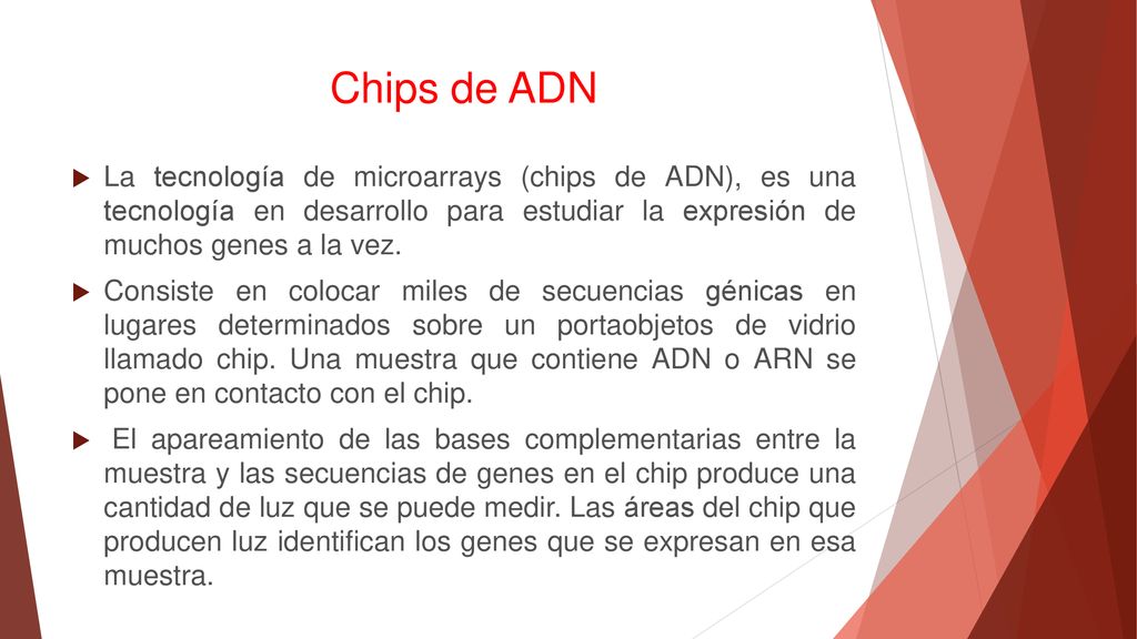 Chips de ADN La tecnología de microarrays (chips de ADN), es una tecnología en desarrollo para estudiar la expresión de muchos genes a la vez.