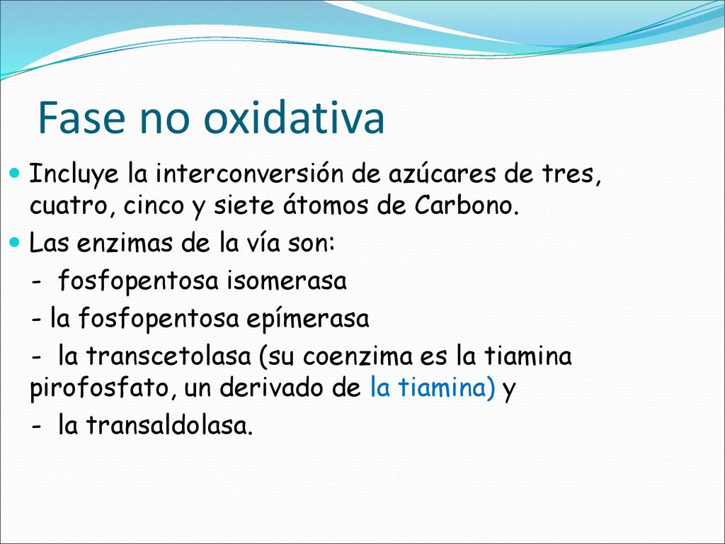 Fase no oxidativa Incluye la interconversión de azúcares de tres, cuatro, cinco y siete átomos de Carbono.