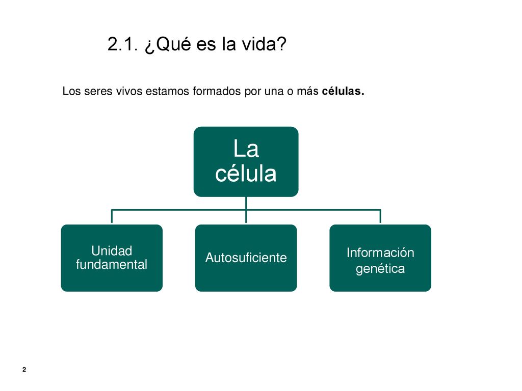 La célula 2.1. ¿Qué es la vida Información genética