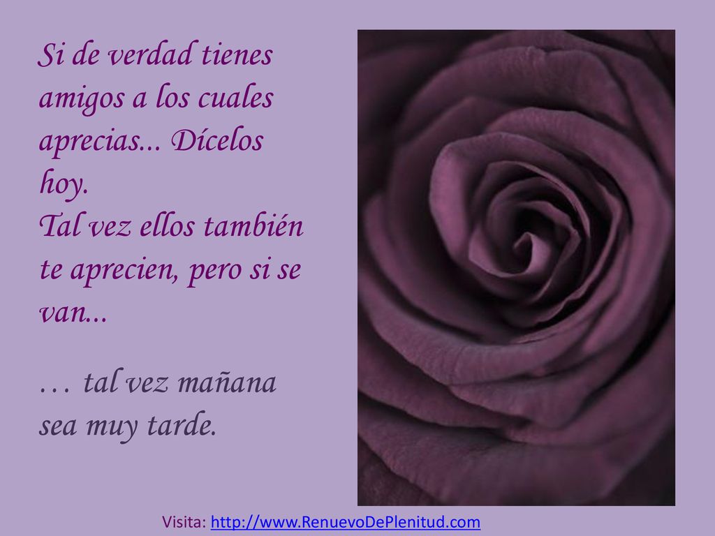 Si de verdad tienes amigos a los cuales aprecias... Dícelos hoy.