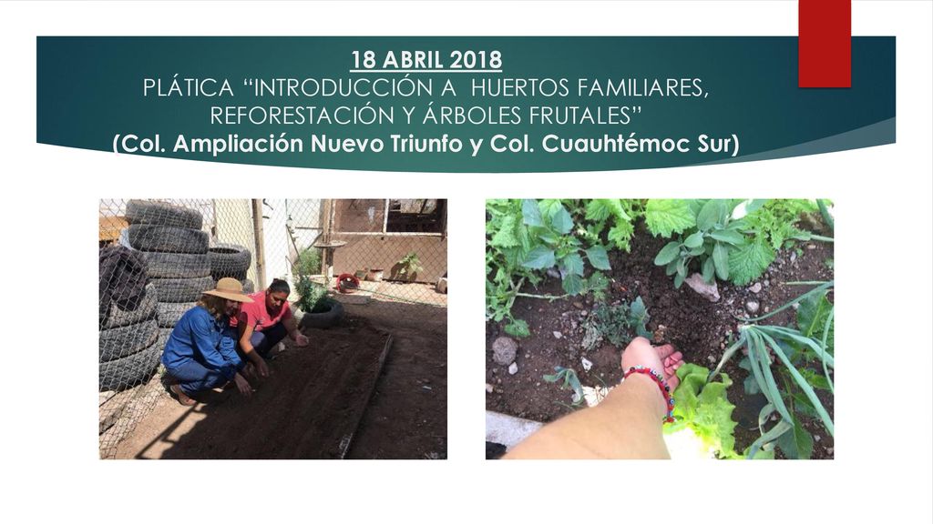 18 ABRIL 2018 PLÁTICA INTRODUCCIÓN A HUERTOS FAMILIARES, REFORESTACIÓN Y ÁRBOLES FRUTALES (Col.
