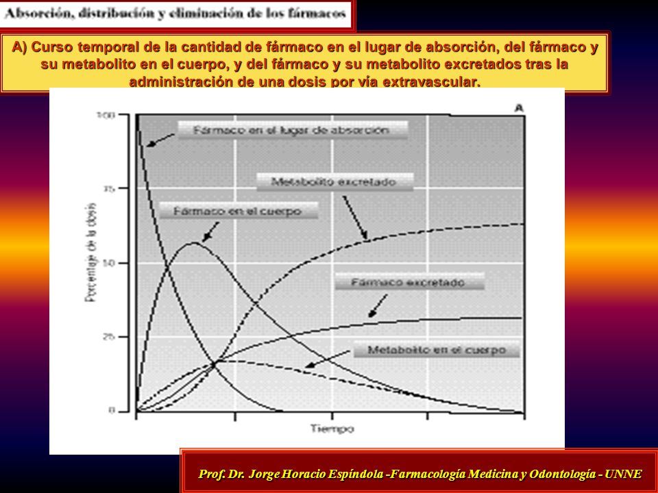 A) Curso temporal de la cantidad de fármaco en el lugar de absorción, del fármaco y su metabolito en el cuerpo, y del fármaco y su metabolito excretados tras la administración de una dosis por vía extravascular.