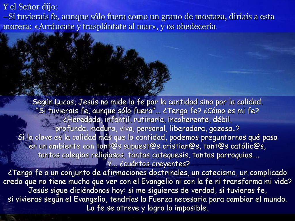 Según Lucas, Jesús no mide la fe por la cantidad sino por la calidad.