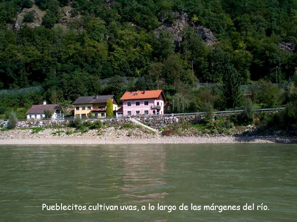 Pueblecitos cultivan uvas, a lo largo de las márgenes del río.