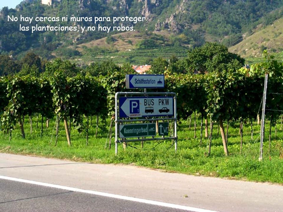 No hay cercas ni muros para proteger las plantaciones, y no hay robos.