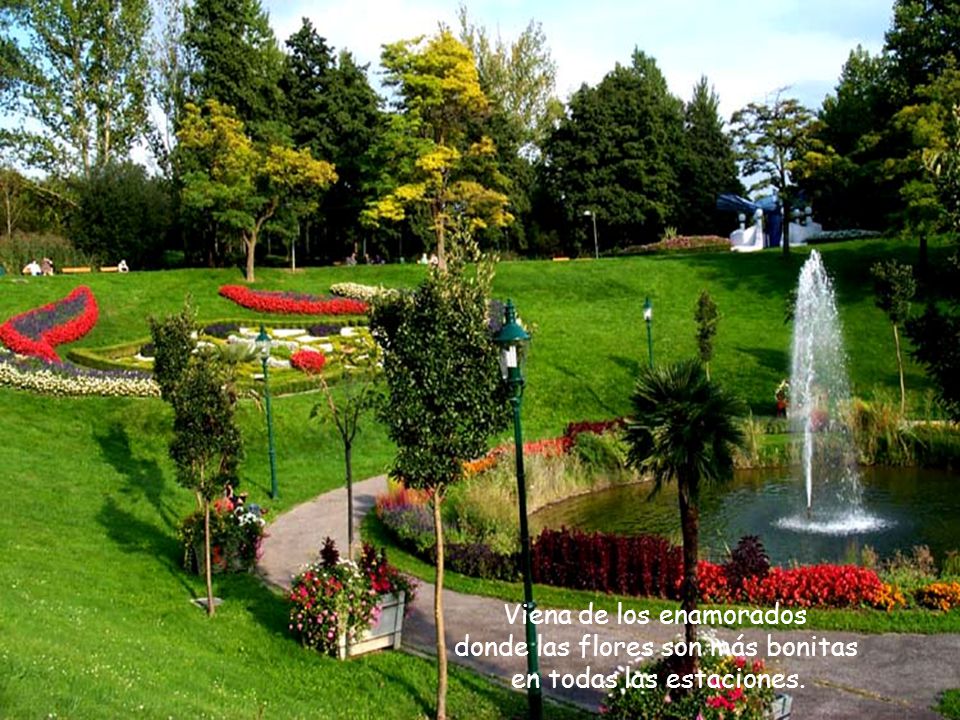 Viena de los enamorados donde las flores son más bonitas