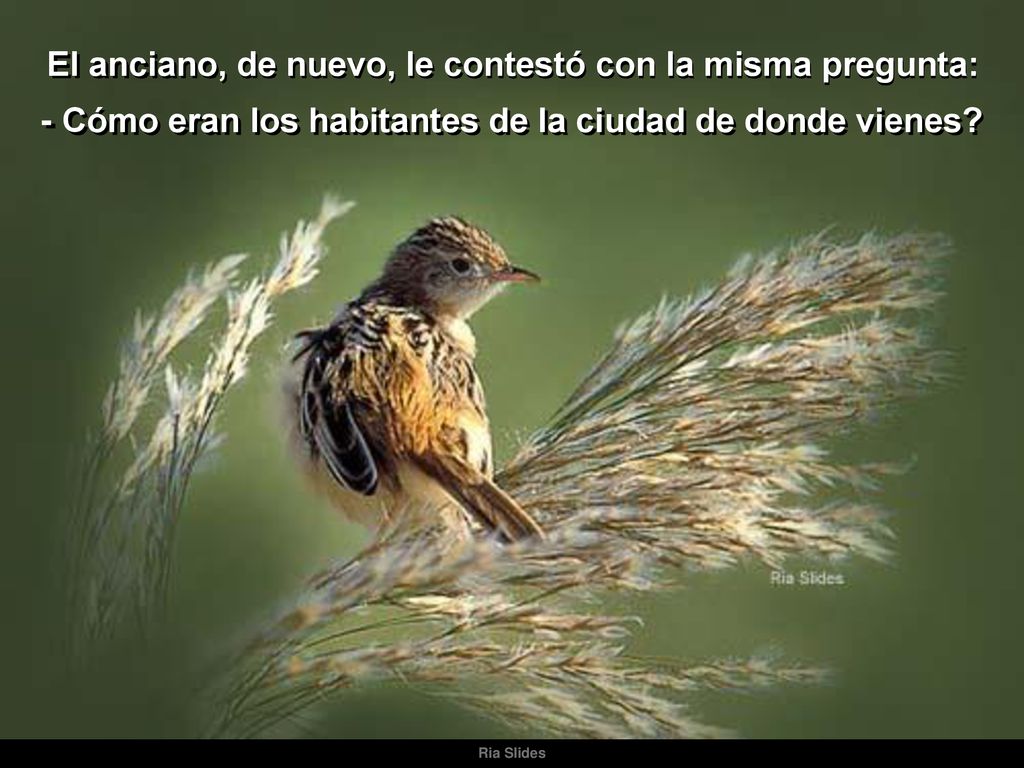 El anciano, de nuevo, le contestó con la misma pregunta: