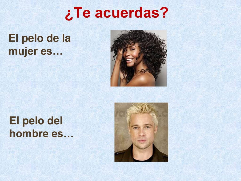 ¿Te acuerdas El pelo de la mujer es… El pelo del hombre es…