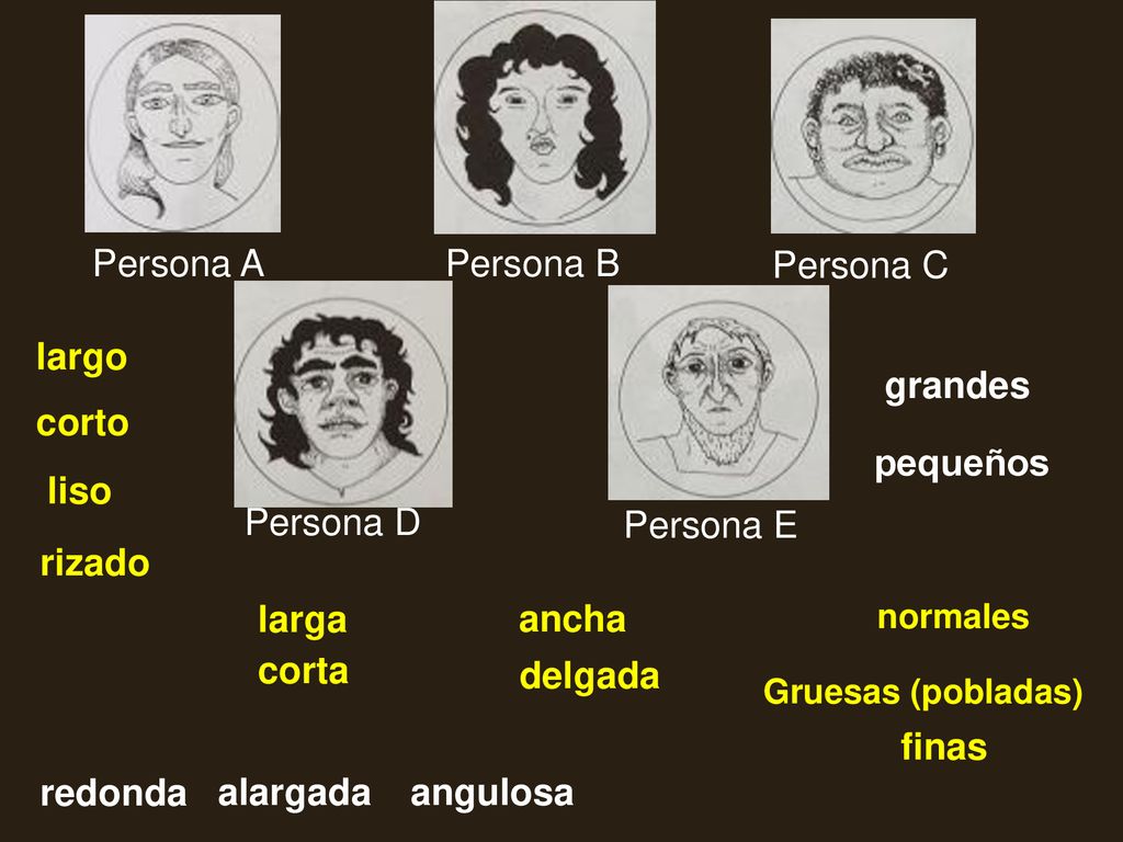 Persona A Persona B Persona C largo grandes corto pequeños liso