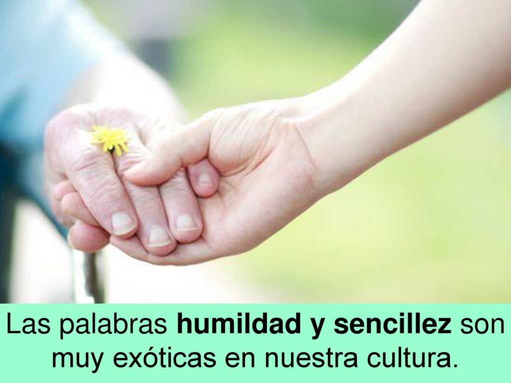 Las palabras humildad y sencillez son muy exóticas en nuestra cultura.