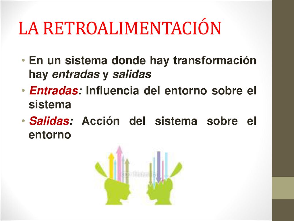 LA RETROALIMENTACIÓN En un sistema donde hay transformación hay entradas y salidas. Entradas: Influencia del entorno sobre el sistema.