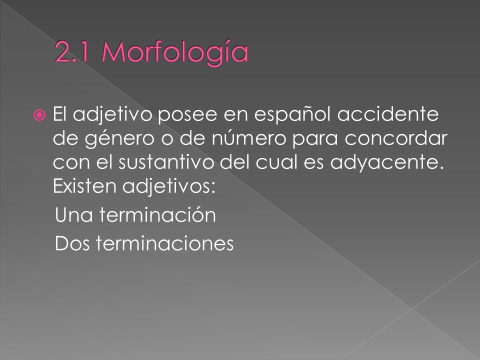 2.1 Morfología