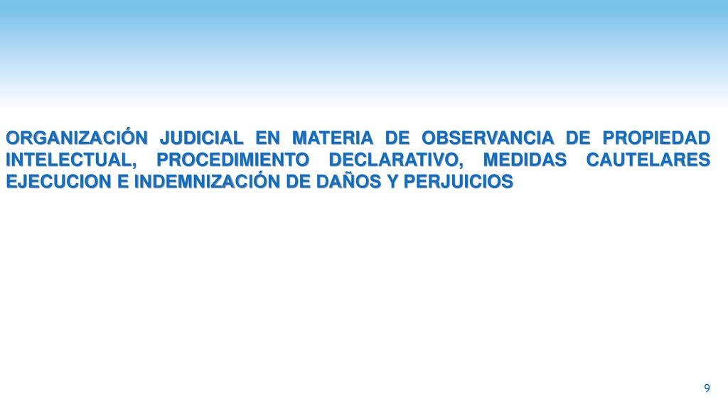 ORGANIZACIÓN JUDICIAL EN MATERIA DE OBSERVANCIA DE PROPIEDAD INTELECTUAL, PROCEDIMIENTO DECLARATIVO, MEDIDAS CAUTELARES EJECUCION E INDEMNIZACIÓN DE DAÑOS Y PERJUICIOS