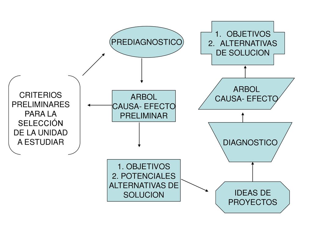 OBJETIVOS ALTERNATIVAS. DE SOLUCION. PREDIAGNOSTICO. ARBOL. CAUSA- EFECTO. CRITERIOS. PRELIMINARES.