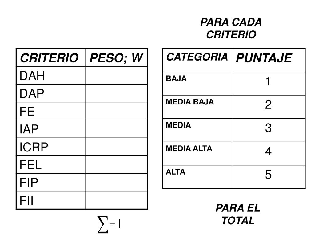 CRITERIO PESO; W DAH DAP FE IAP ICRP FEL FIP FII PUNTAJE