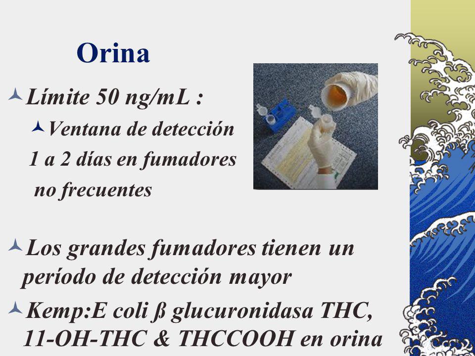 Orina Límite 50 ng/mL : Ventana de detección. 1 a 2 días en fumadores. no frecuentes. Los grandes fumadores tienen un período de detección mayor.