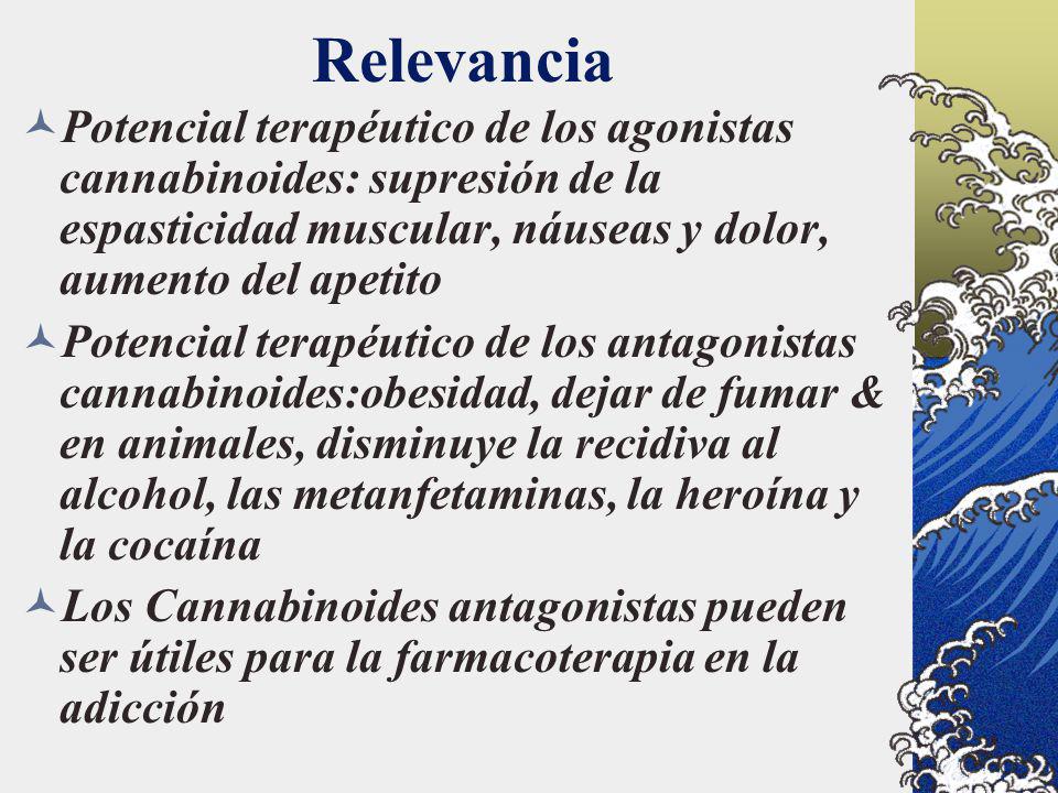 Relevancia Potencial terapéutico de los agonistas cannabinoides: supresión de la espasticidad muscular, náuseas y dolor, aumento del apetito.