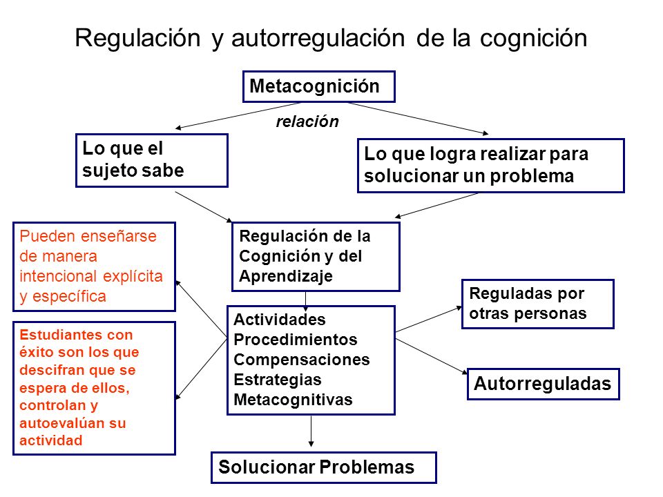 Regulación y autorregulación de la cognición