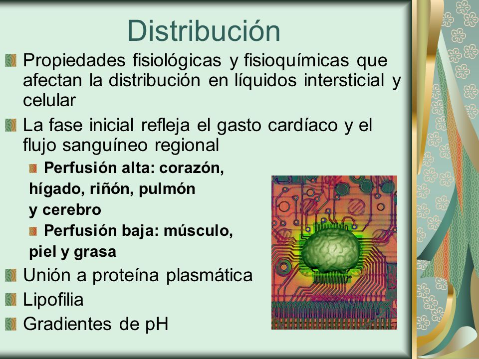 Distribución Propiedades fisiológicas y fisioquímicas que afectan la distribución en líquidos intersticial y celular.