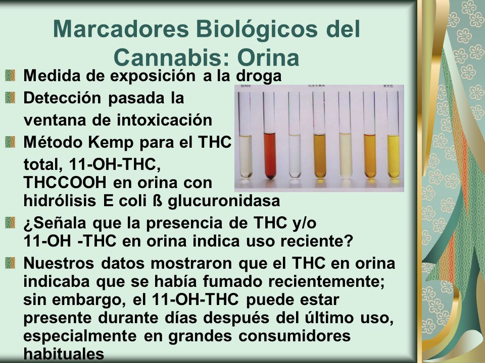 Marcadores Biológicos del Cannabis: Orina