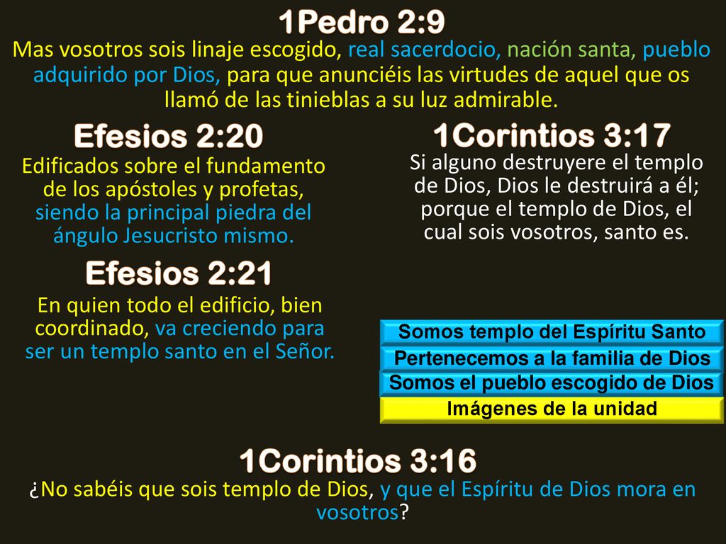 1Pedro 2:9 Efesios 2:20 1Corintios 3:17 Efesios 2:21 1Corintios 3:16