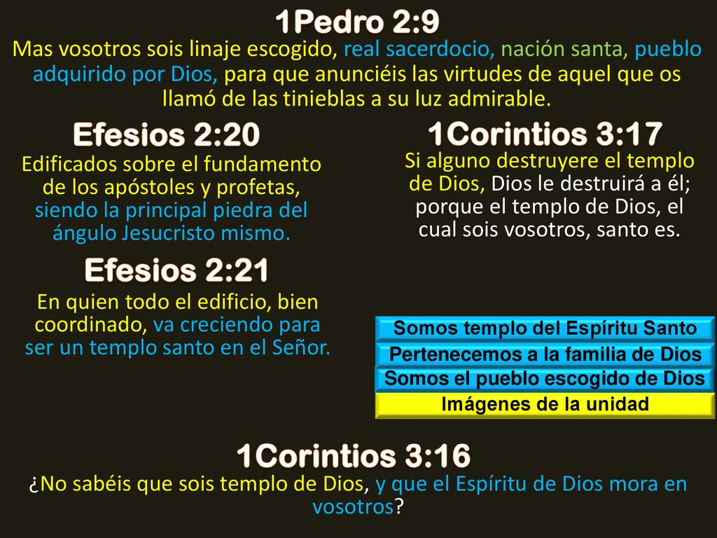 1Pedro 2:9 Efesios 2:20 1Corintios 3:17 Efesios 2:21 1Corintios 3:16