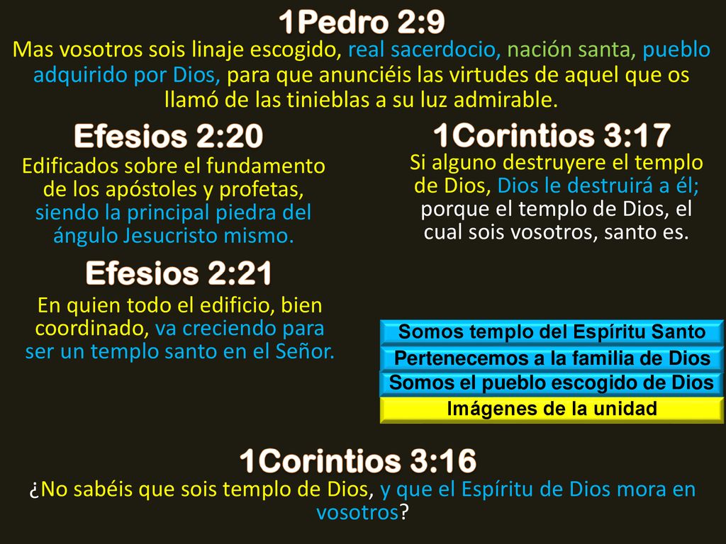 1Pedro 2:9 Efesios 2:20 1Corintios 3:17 Efesios 2:21 1Corintios 3:16