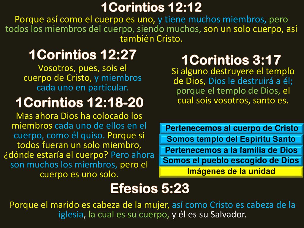 1Corintios 12:27 1Corintios 3:17 1Corintios 12:18-20 Efesios 5:23