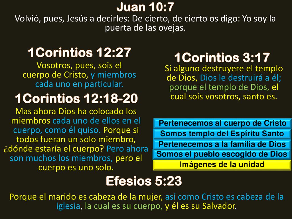 1Corintios 12:27 1Corintios 3:17 1Corintios 12:18-20 Efesios 5:23
