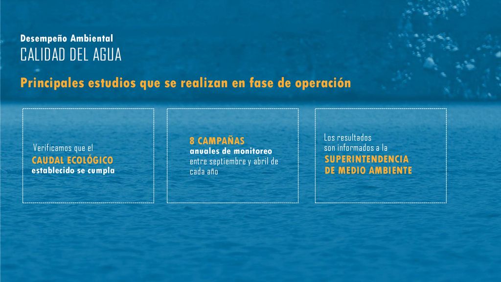 Desempeño Ambiental CALIDAD DEL AGUA. Principales estudios que se realizan en fase de operación. Los resultados.