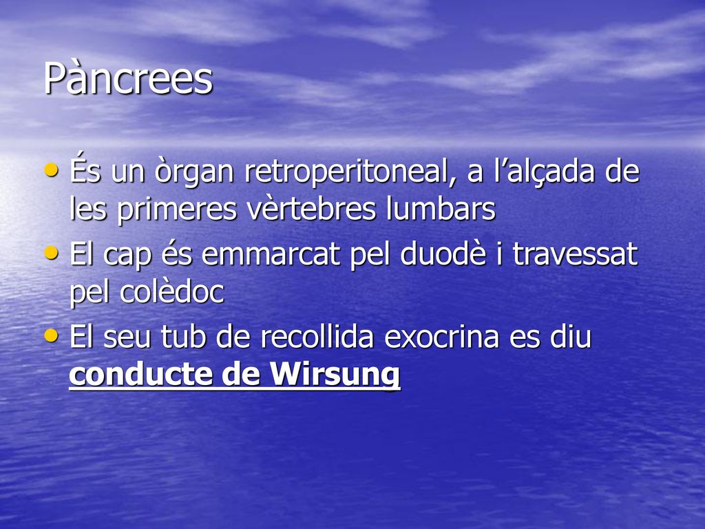 Pàncrees És un òrgan retroperitoneal, a l’alçada de les primeres vèrtebres lumbars. El cap és emmarcat pel duodè i travessat pel colèdoc.