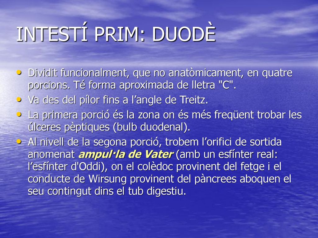 INTESTÍ PRIM: DUODÈ Dividit funcionalment, que no anatòmicament, en quatre porcions. Té forma aproximada de lletra C .